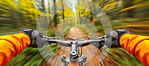 Cyclist traversing lush forest trail with panoramic view of verdant trees, capturing serene nature