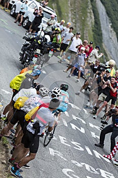 The Cyclist Vincenzo Nibali - Tour de France 2015