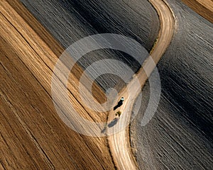 Cyclist on Winding Road Through Diverse Farm Fields