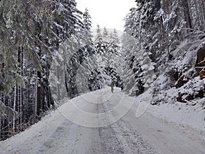 Cyclist in the woods in the nature in the snow during winter.