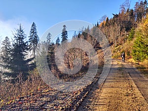 Cyclist in the woods in the nature during summer or autumn.