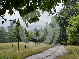 Cyclist in the woods in the nature during summer or autumn.