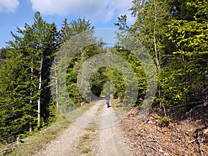 Cyklista v lese v prírode počas leta alebo jesene.