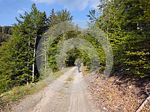 Cyclist in the woods in the nature during summer or autumn.