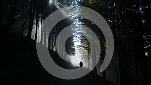 Cyclist in the woods with sunrays.