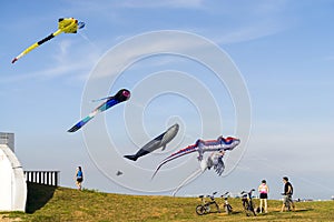 Cyclists admire large flying multi colored kites at East Coast Park