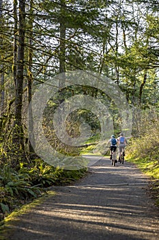 Cyclists on bicycles ride along a winding forest path