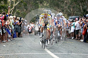 Cyclists compete at the Tour Down Under.