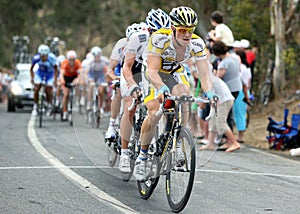 Cyclists compete at the Tour Down Under.