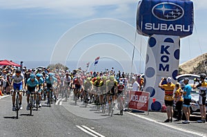 Cyclists compete at the Tour Down Under.