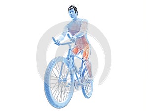 a cyclists muscles