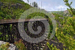 Cyclists on Myra Canyon Trestle 7 Kelowna