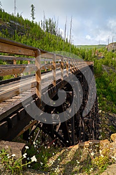 Cyclists on Myra Canyon Trestle 7 Kelowna vertical