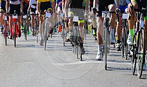 cyclists pedaling on bicycles during road cycling race