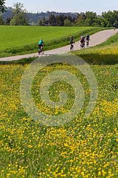 cyclists on a raceday in a distance view
