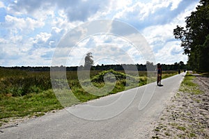 Cyclists and recreational cyclists on the cycle path through the national park.