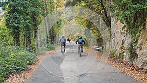 cyclists ride through the autumn forest, rear view