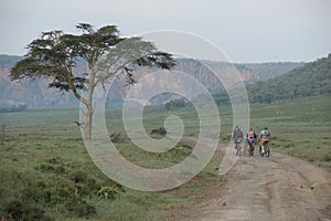 Cyclists ride bikes through Hell's Gate National Park in Kenya