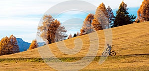 Cyclists ride road in Alps fall in Alpe di Siusi. Dolomites, South Tyrol, Alps, Italy. active lifestyle, bicycle, travel, holiday