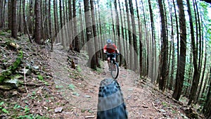Cyclists riding electric mountain bikes in the forest.