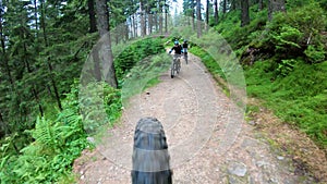 Cyclists riding electric mountain bikes in the forest.