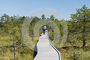 Cyclists on wooden hiking trail of bog area