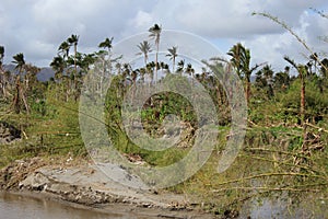 Cyclone pam in Vanuatu