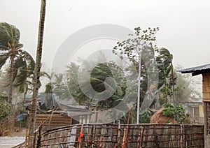 Cyclone strom winds palm trees, thunderstorm India, Assam,