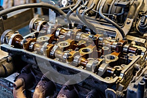 Cylinder head combustion engine with camshafts. Automotive, repair servicing