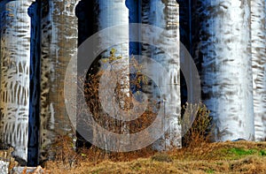 Cylinder shaped Silos With Tarnished Metal