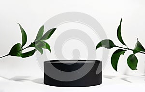 Cylindrical black podium on a white background with hard shadows and leaves. Minimal empty scene of cosmetic products presentation