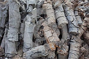 Cylindrical crack soil