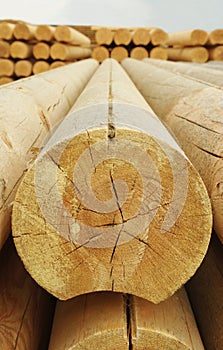 Cylindrical logs