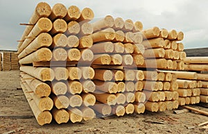 Cylindrical logs photo