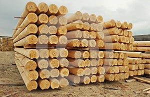 Cylindrical logs