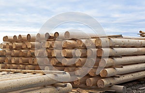 Cylindrical logs for log home