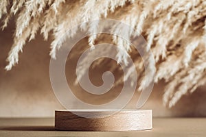 Cylindrical wooden podium on the background of pampas grass