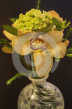 Cymbidium orchid arrangement