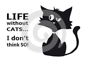 Cynical cat with quote Life without cats I dont think so, funny animal, isolated on white background