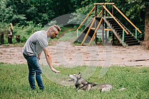 cynologist and husky dog training lying command