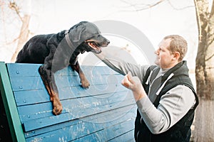 Cynologist training service dog on playground