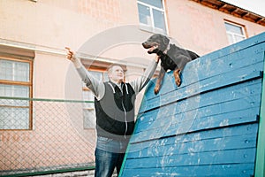 Cynologist training working dog on playground