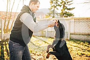 Cynologist works with service dog outside