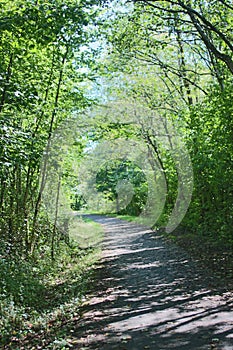 The Cynon valley walk in summer