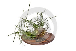 Cyperus rotundus isolated white background