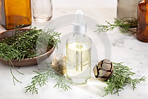 Cypress essential oil for beauty or medicinal purposes