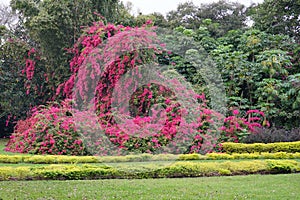 The Cypress Garden in legoland florida