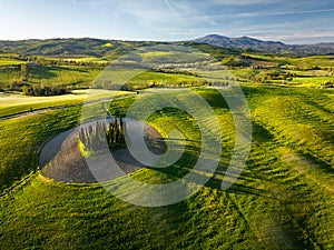 Cypress grove hidden amongst the rolling green hills. Typical Tuscan landscape captured during an early morning atmosphere