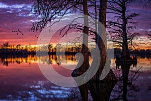 Cypress Lake, scenic sunset, Southern Illinois