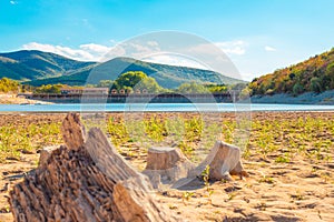 Cypress lake Sukko in the south of Russia. Drought. Tourist place, beautiful summer landscape